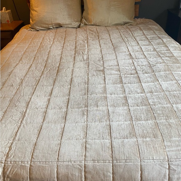West Elm soft, velvet quilt comforter with matching shams - Picture 3 of 10